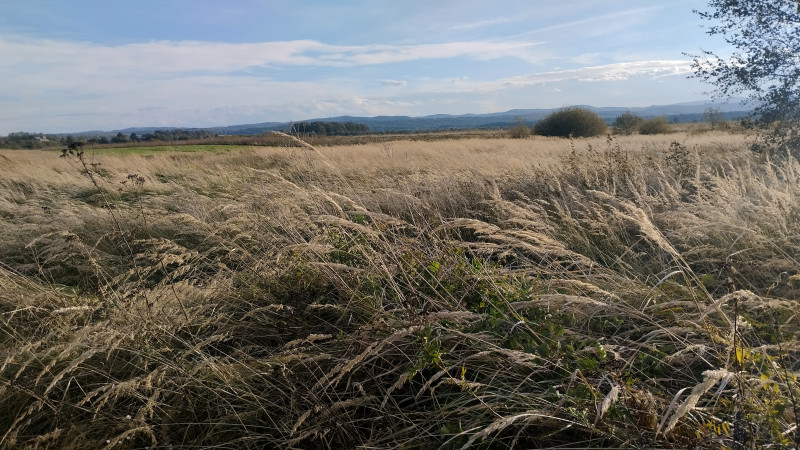 краєвид 2 - Верхня Лукавиця
