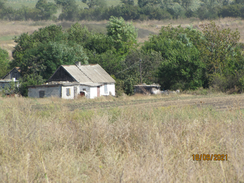 ДОМ - Орлинське