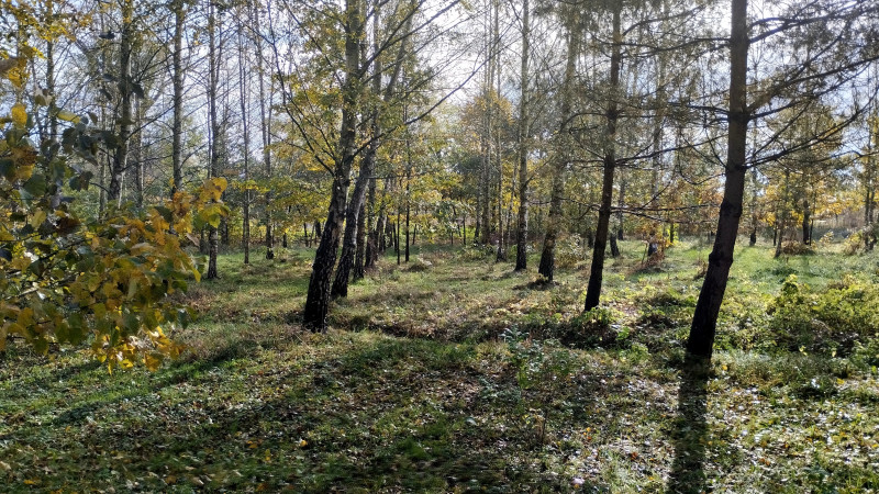 Парк - Гнездычев
