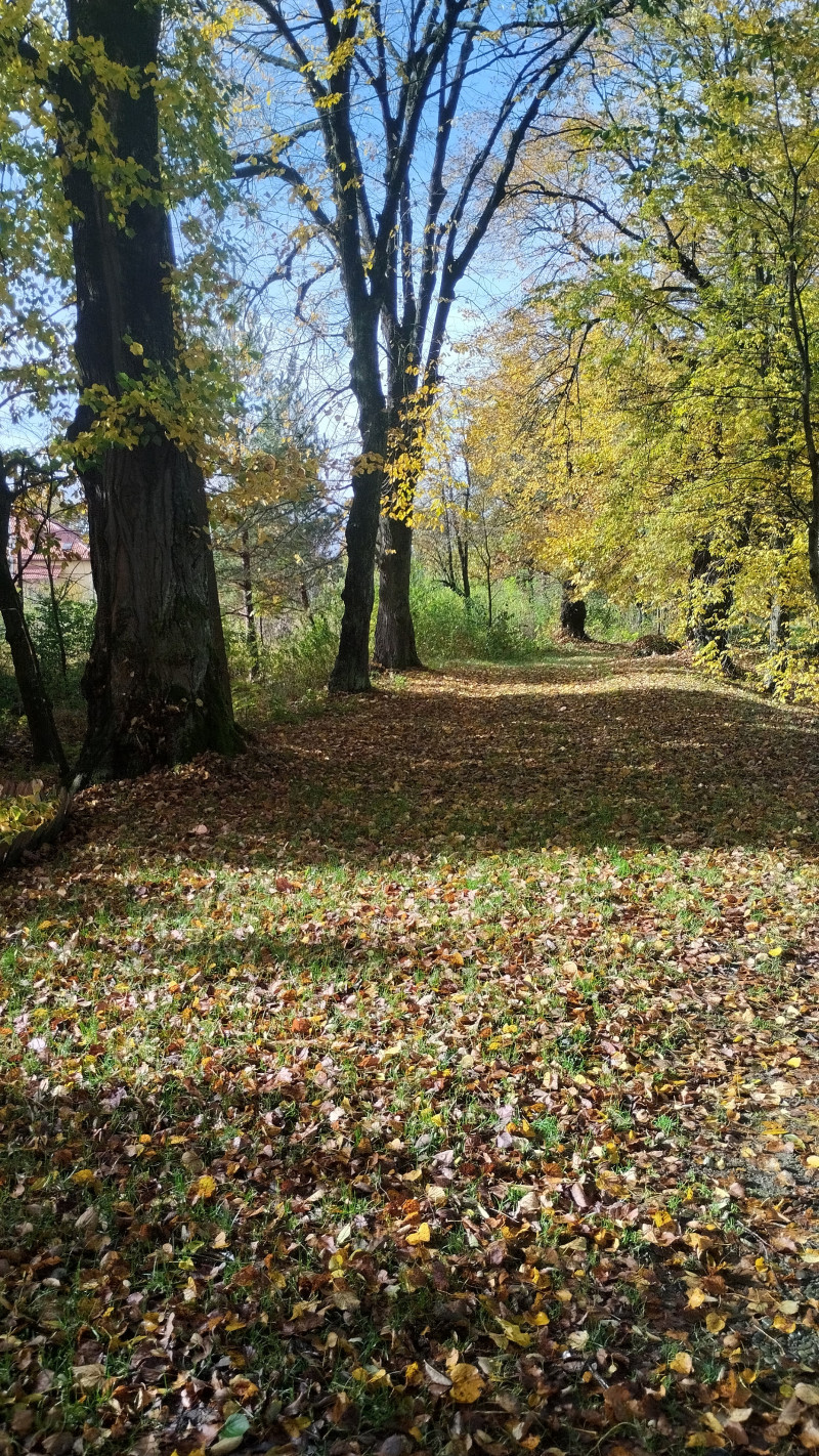 Парк - Гніздичів