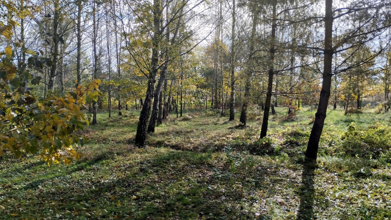 Парк - Гніздичів