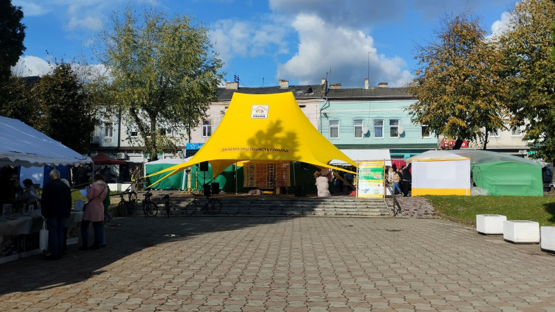 Історія. Люди. Події. Символіка 1 - Stryi