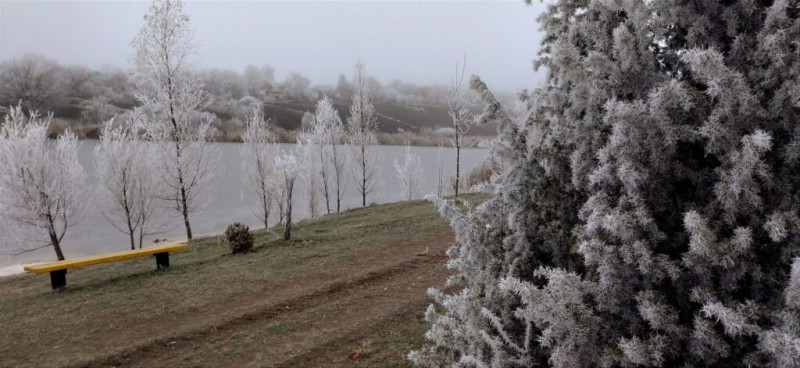 Природа - Журавка