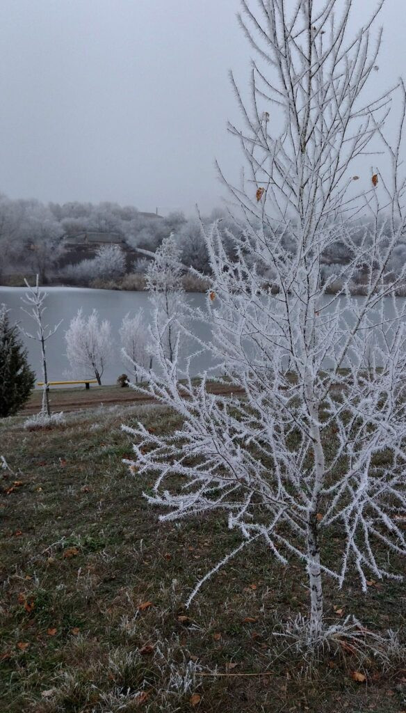 Природа - Журавка