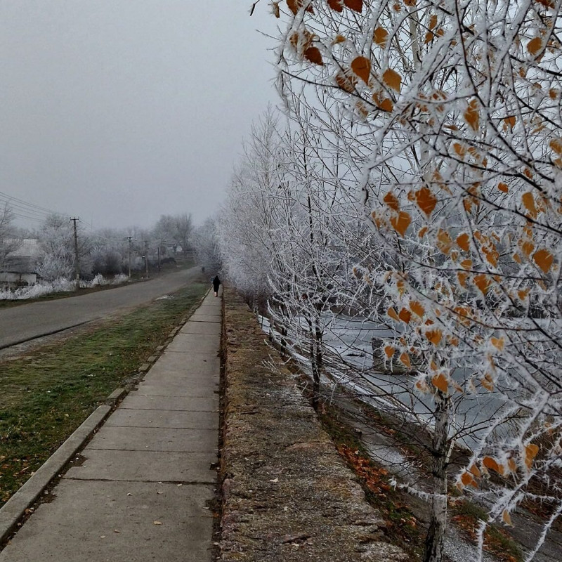 Природа - Журавка