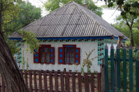 Батьківщина