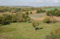 Батьківщина