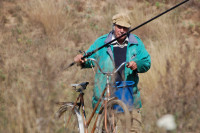 Батьківщина