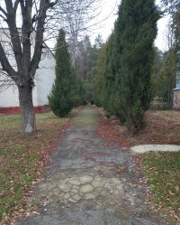 Дачне - Останні фото