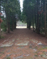 Дитячий табір Світанок (ім. О. Кошового)