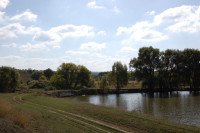 Батьківщина