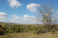 Батьківщина