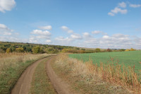 Батьківщина