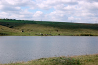 Батьківщина