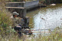 Батьківщина