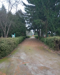 Дачне - Останні фото