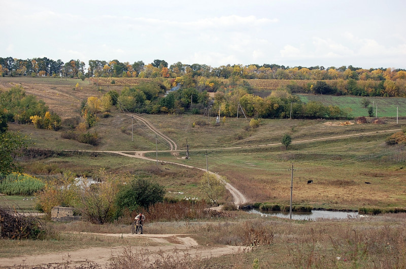 Батьківщина - Липняжка