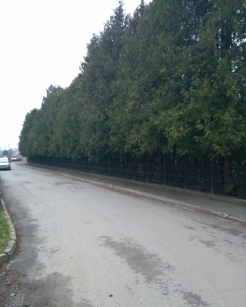 Дитячий табір Світанок (ім. О. Кошового) - Дачне