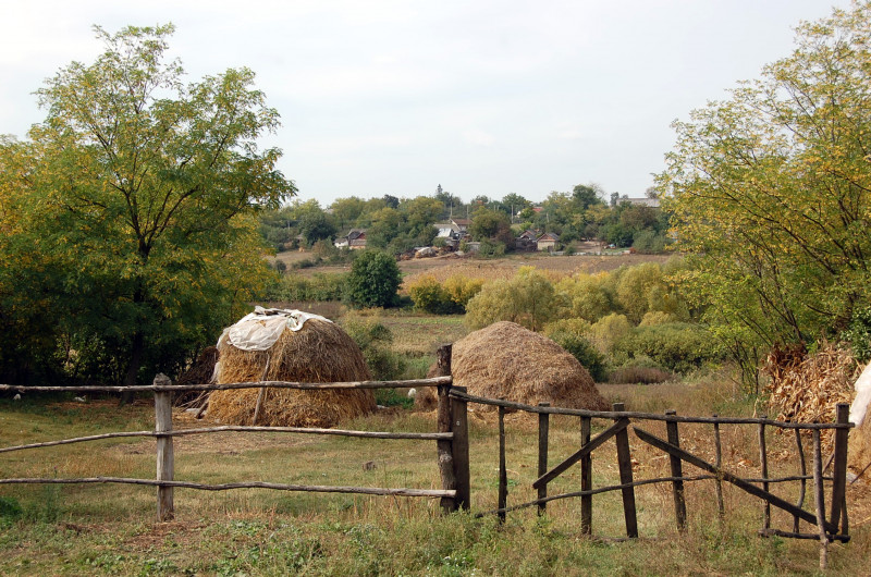 Батьківщина - Липняжка