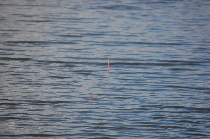 Батьківщина - Липняжка