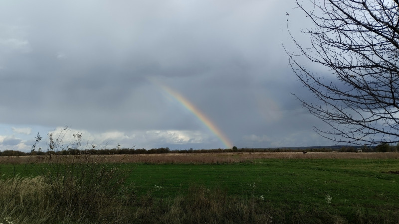 краєвид 2 - Верхня Лукавиця