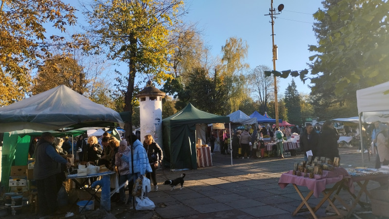 Історія. Люди. Події. Символіка 1 - Стрий