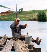 Батьківщина