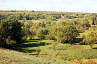 Батьківщина