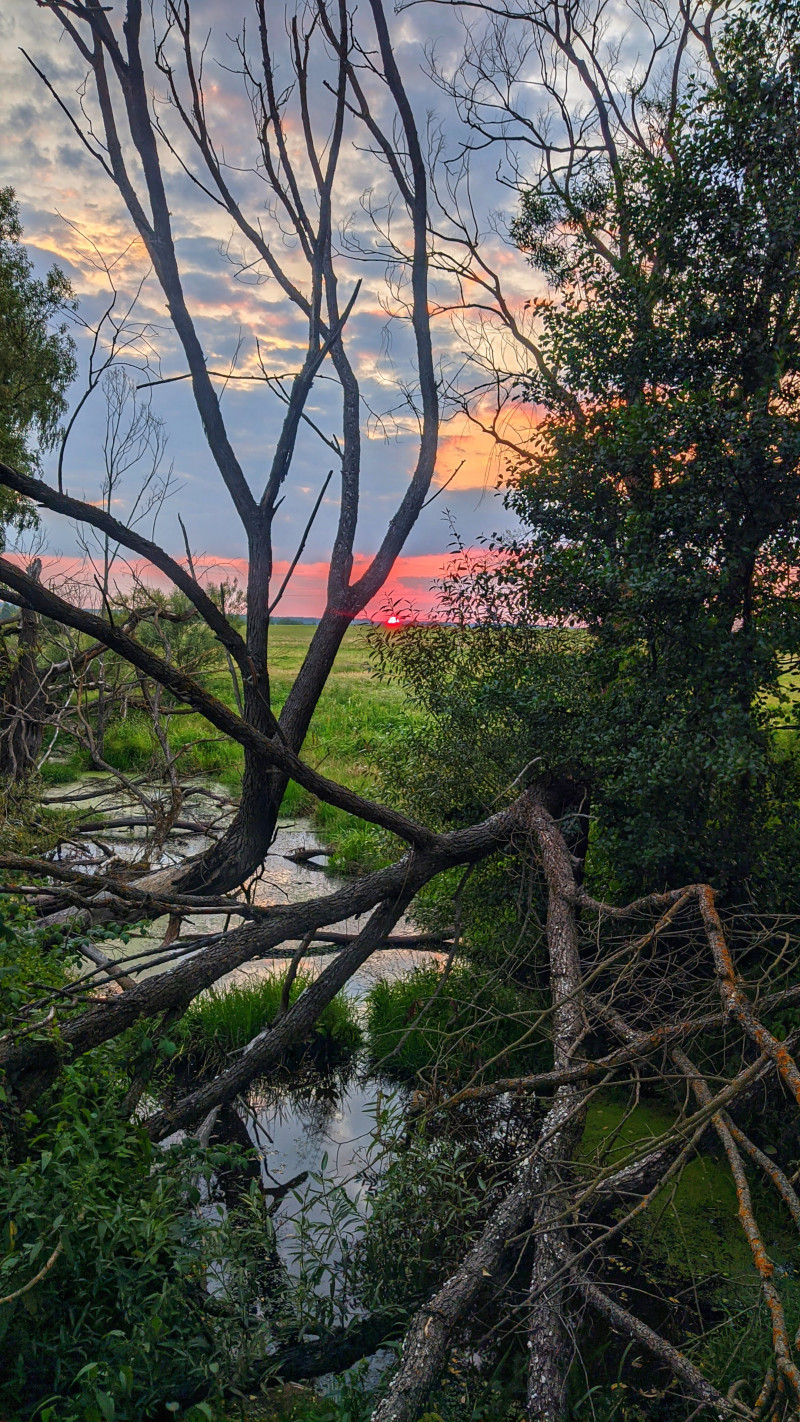 Прибитки - Прибытки