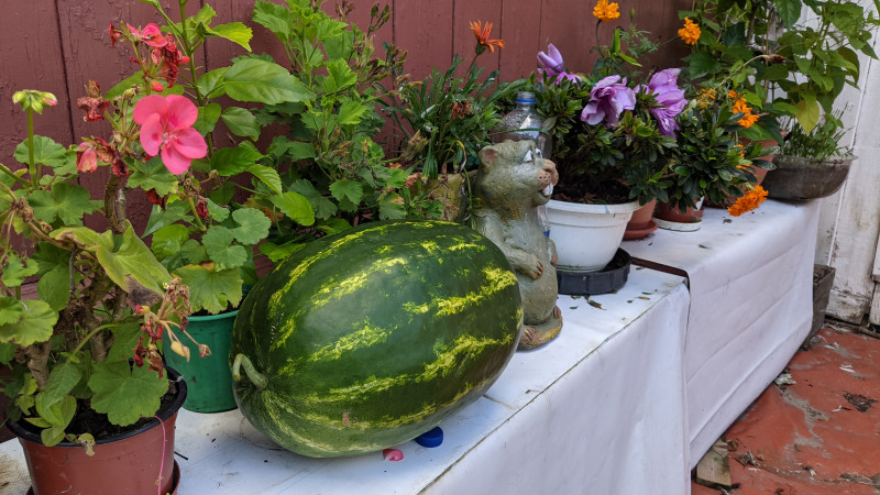 Прибитки - Прибытки