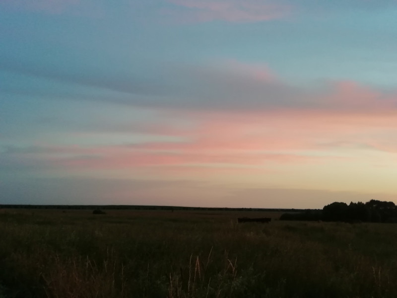 Наші фото - Нири