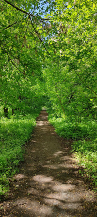 НДУ ім. Гоголя