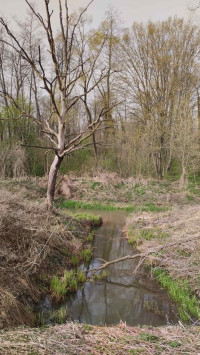 річка Вівнянка