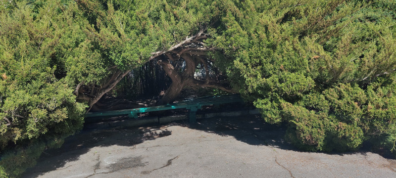 НДУ ім. Гоголя - Ніжин