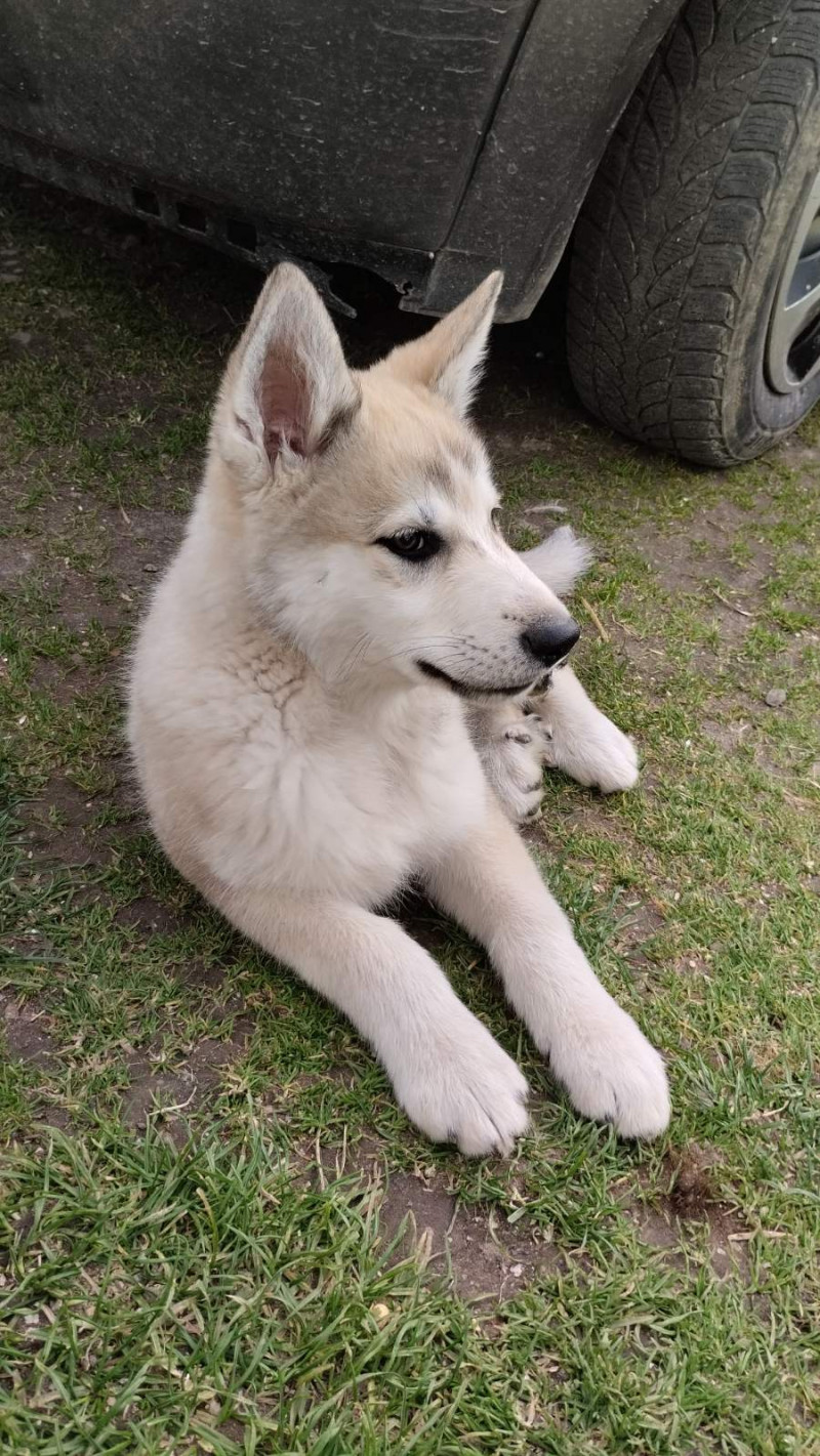 зоосвіт 2 - Держів