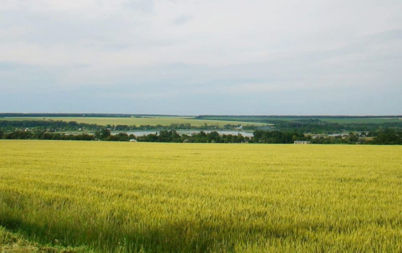 Життя  села - Іскрене