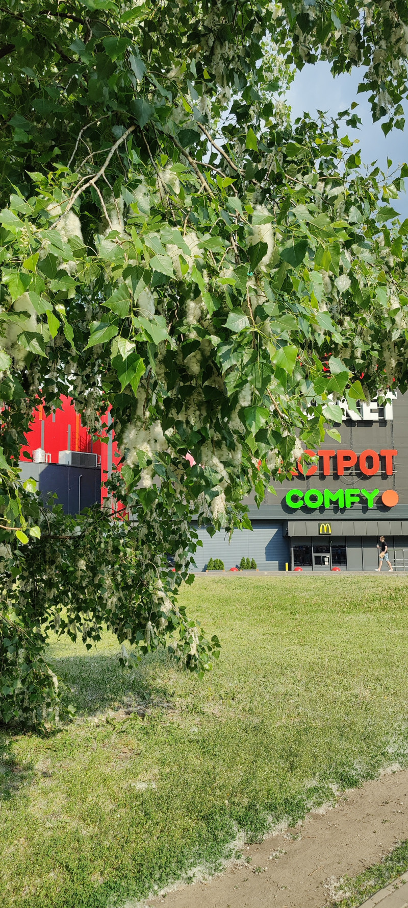 Наші фото - Козелець