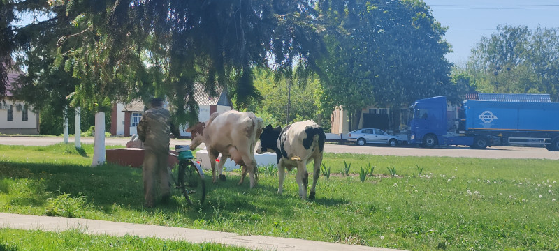 Наші фото - Коломийцевка