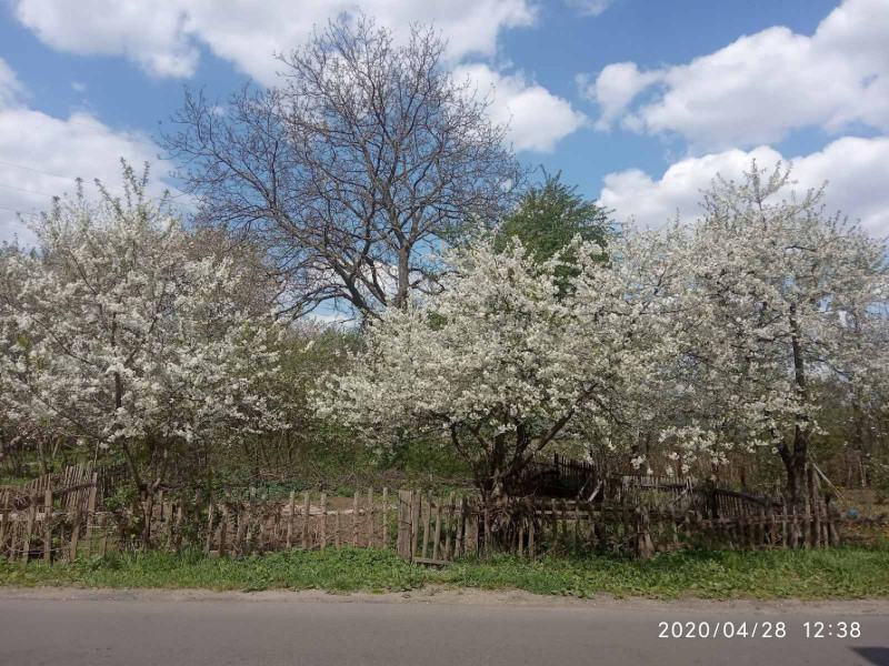 вулицями міста 7 - Stryi