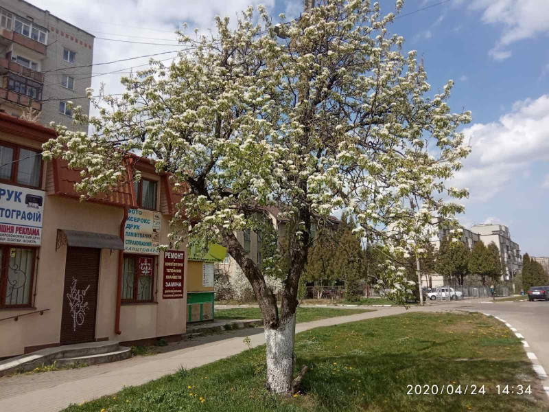 вулицями міста 7 - Stryi