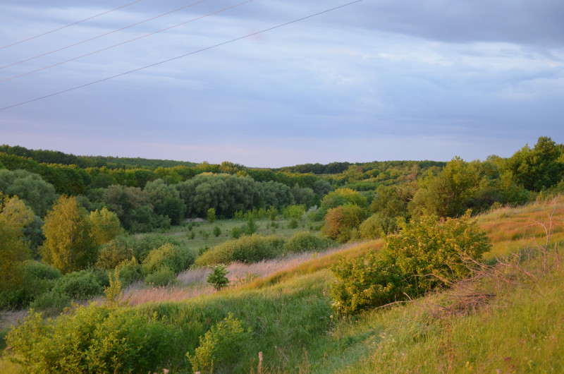 Наші фото - Велика Вільшанка