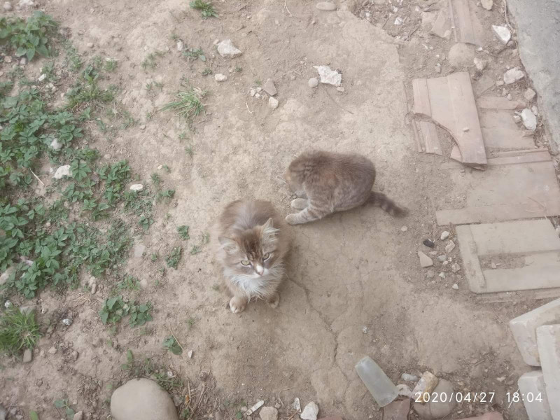 зоосвіт 1 - Верхня Лукавиця