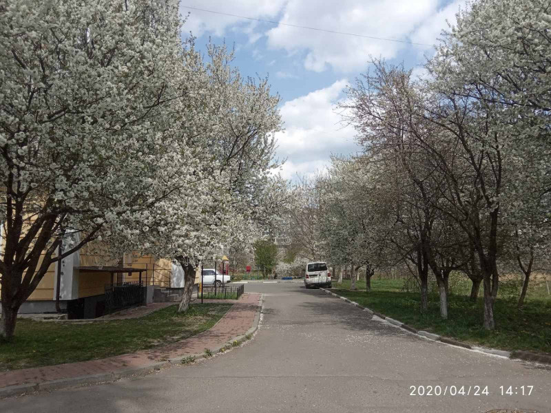 вулицями міста 7 - Стрий