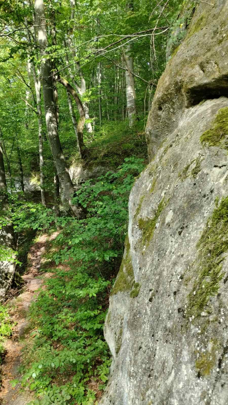 Ліс. Скелі - Велика Воля