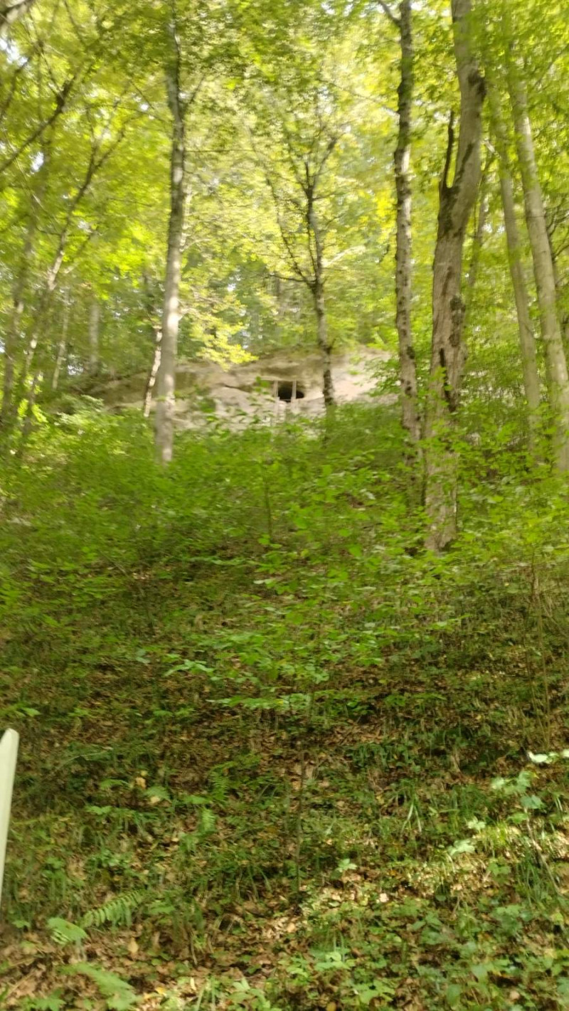 Криївка - Велика Воля