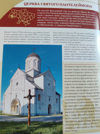 Шевченкове - Останні фото