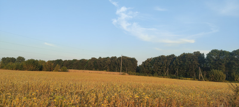 Наші фото - Носовка