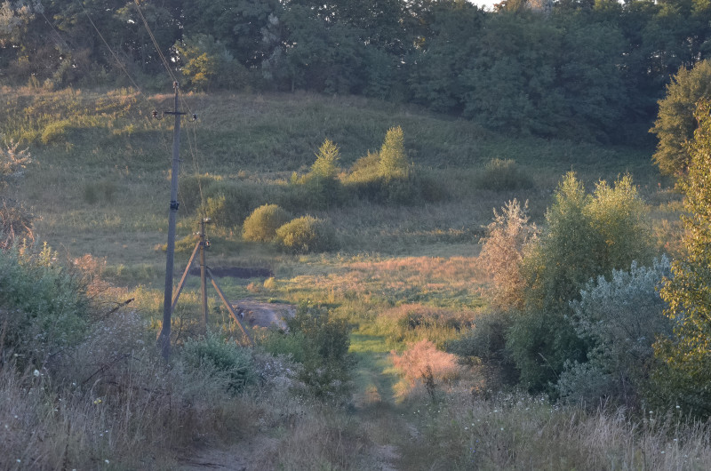 Наші фото - Тростинка