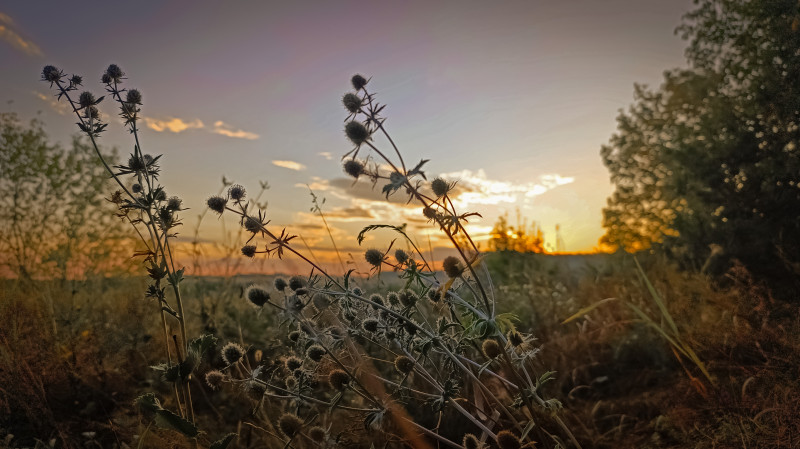 Наші фото - Велика Вільшанка