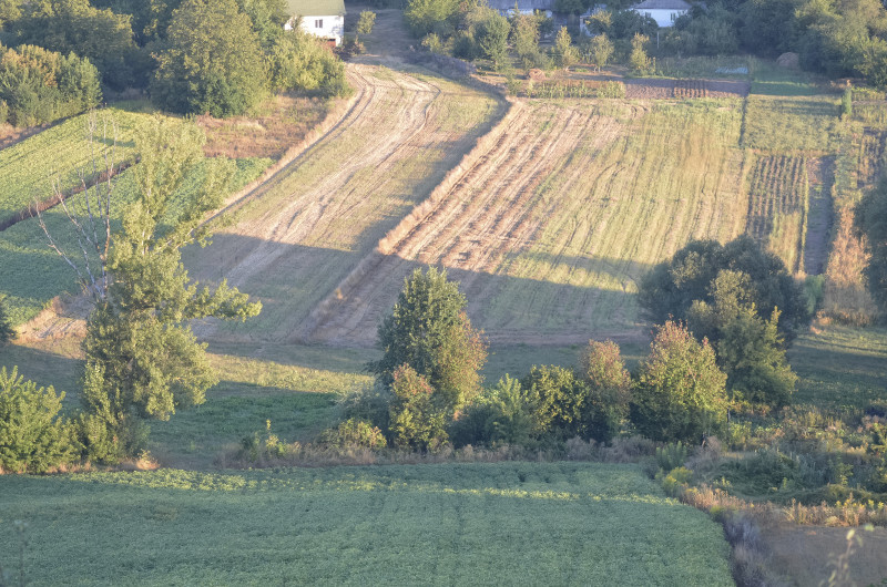 Наші фото - Тростинка